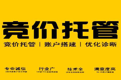 竞价推广SEM托管的成功之路——某行业领军企业的实践